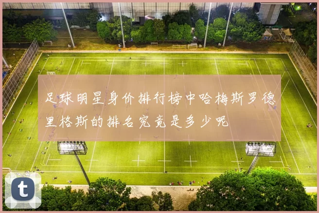 足球明星身价排行榜中哈梅斯罗德里格斯的排名究竟是多少呢