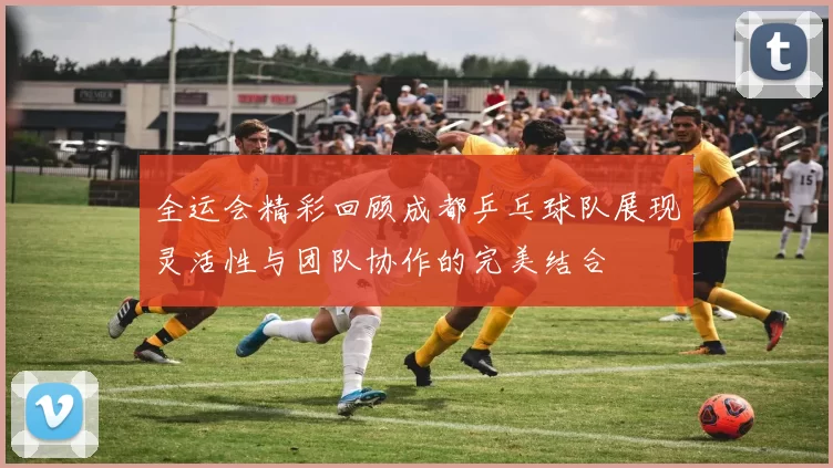 全运会精彩回顾成都乒乓球队展现灵活性与团队协作的完美结合