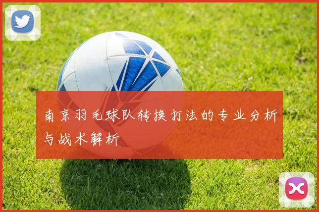 南京羽毛球队转换打法的专业分析与战术解析