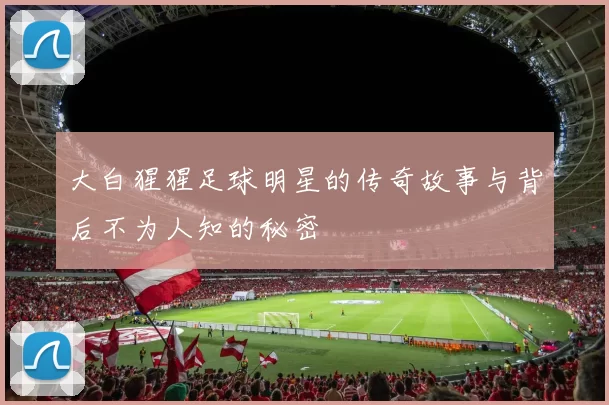 大白猩猩足球明星的传奇故事与背后不为人知的秘密