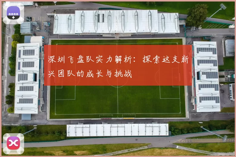 深圳飞盘队实力解析：探索这支新兴团队的成长与挑战