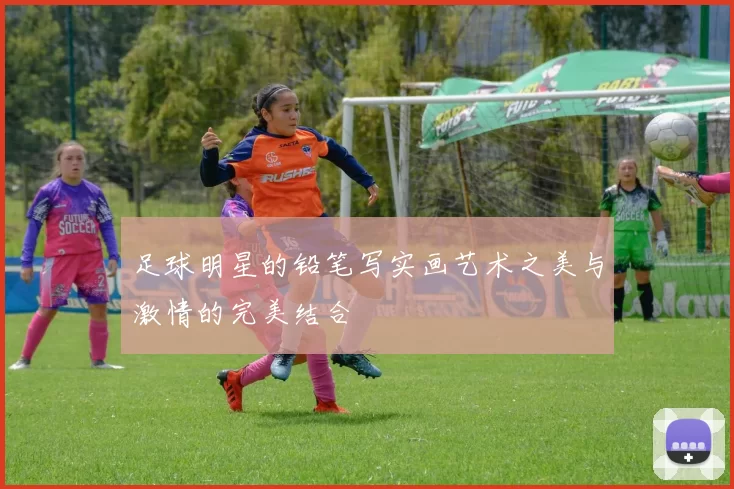 足球明星的铅笔写实画艺术之美与激情的完美结合