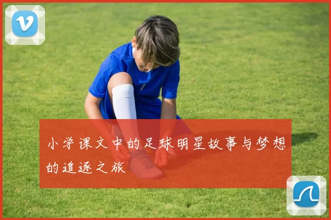 小学课文中的足球明星故事与梦想的追逐之旅