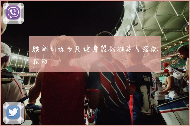 腰部训练专用健身器材推荐与搭配技巧