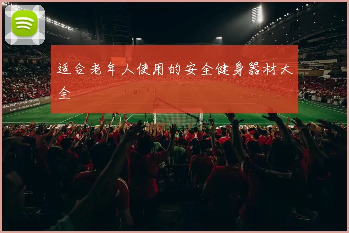 适合老年人使用的安全健身器材大全