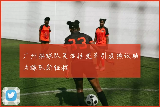 广州排球队灵活性变革引发热议助力球队新征程