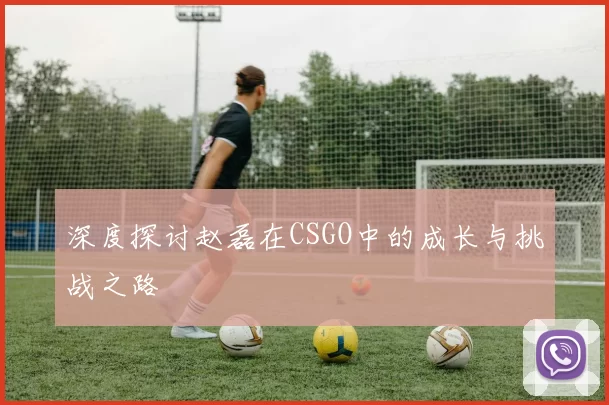深度探讨赵磊在CSGO中的成长与挑战之路