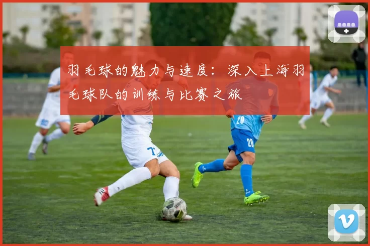 羽毛球的魅力与速度：深入上海羽毛球队的训练与比赛之旅