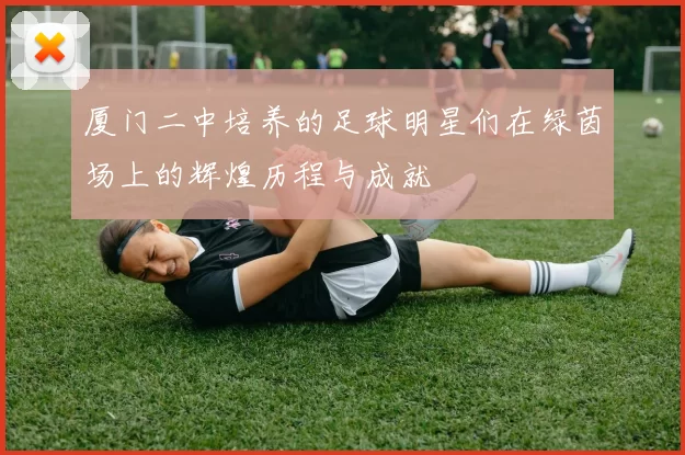厦门二中培养的足球明星们在绿茵场上的辉煌历程与成就