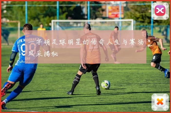 一字胡足球明星的传奇人生与赛场风采揭秘