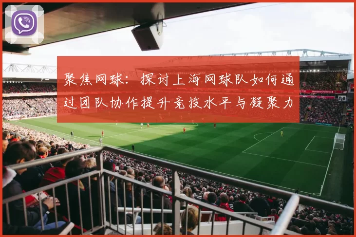 聚焦网球：探讨上海网球队如何通过团队协作提升竞技水平与凝聚力