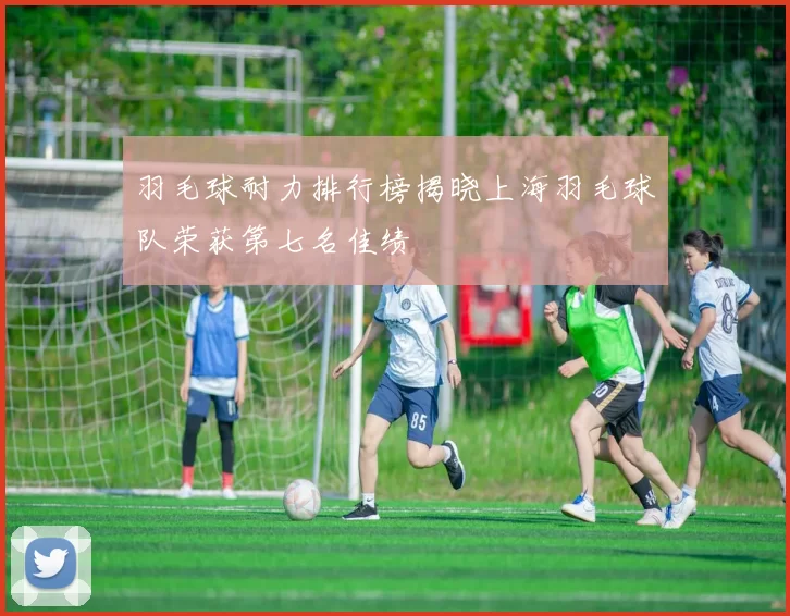 羽毛球耐力排行榜揭晓上海羽毛球队荣获第七名佳绩