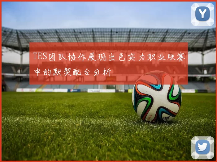 TES团队协作展现出色实力职业联赛中的默契配合分析