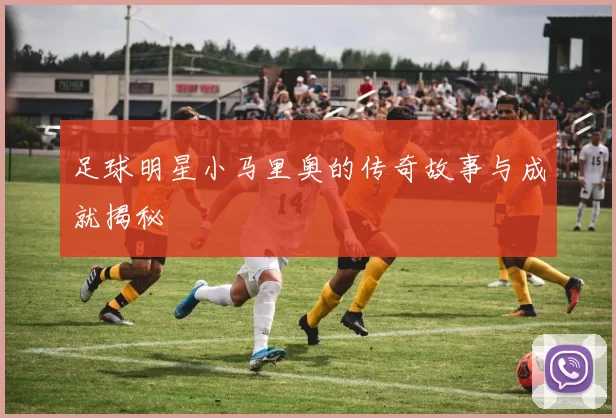 足球明星小马里奥的传奇故事与成就揭秘