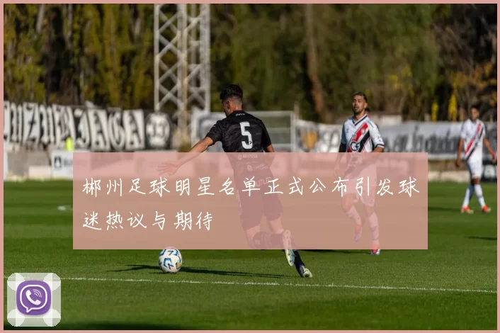 郴州足球明星名单正式公布引发球迷热议与期待