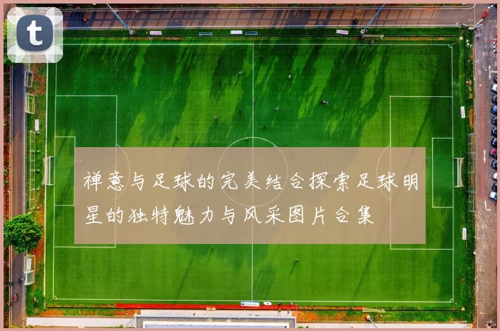 禅意与足球的完美结合探索足球明星的独特魅力与风采图片合集