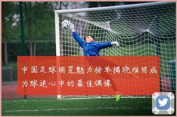 中国足球明星魅力榜单揭晓谁将成为球迷心中的最佳偶像