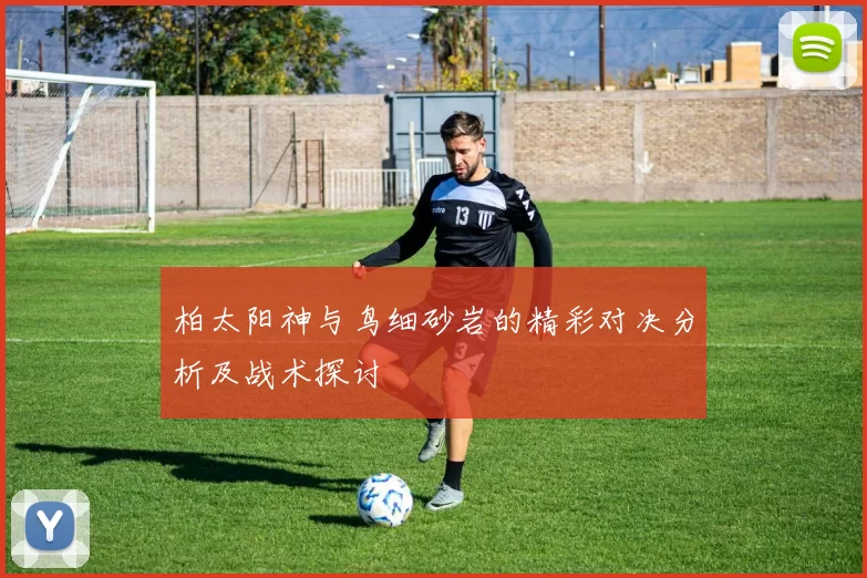 柏太阳神与鸟细砂岩的精彩对决分析及战术探讨