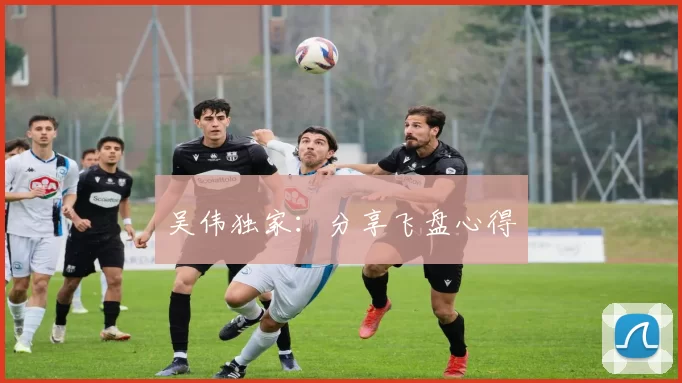 吴伟独家：分享飞盘心得