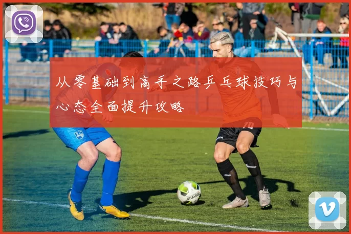 从零基础到高手之路乒乓球技巧与心态全面提升攻略