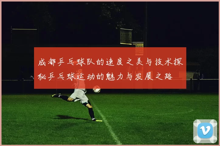 成都乒乓球队的速度之美与技术探秘乒乓球运动的魅力与发展之路
