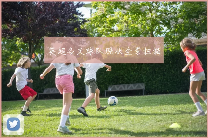 英超各支球队现状全景扫描