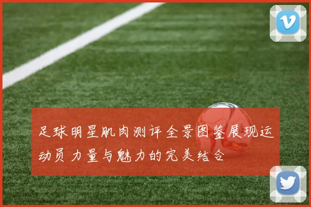 足球明星肌肉测评全景图鉴展现运动员力量与魅力的完美结合